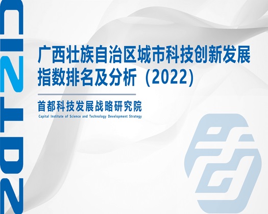 鸡巴操我爽死视频【成果发布】广西壮族自治区城市科技创新发展指数排名及分析（2022）